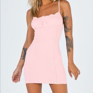 Roseberry Mini Dress Pink Princess Polly